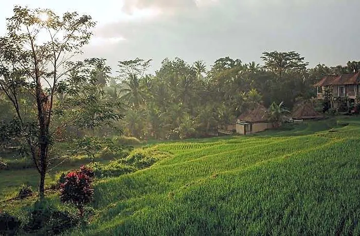B Saya Ubud
