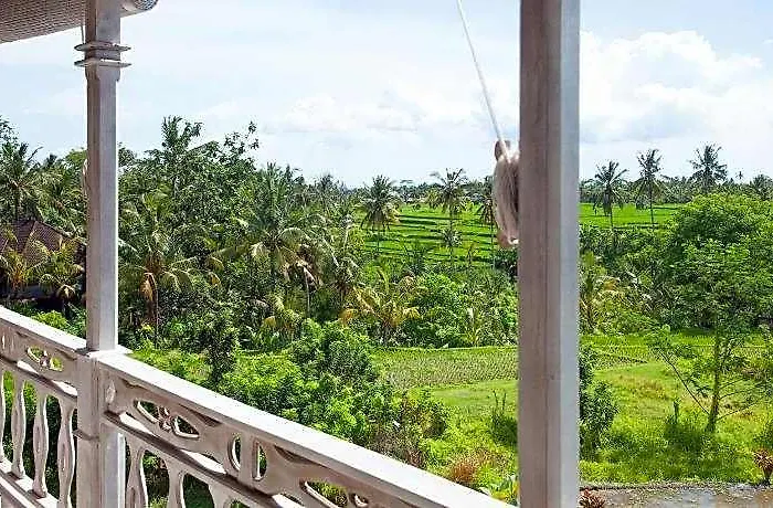 Hotel B Saya 3*