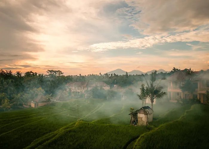 Hotel B Saya Ubud